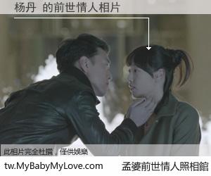 杨丹 的前世情人