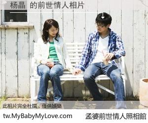 杨晶 的前世情人