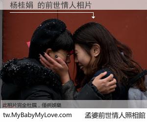 杨桂娟 的前世情人