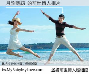 月轮鹦鹉 的前世情人