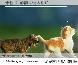 朱新鹏 的前世情人