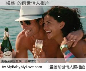 楊塵 的前世情人