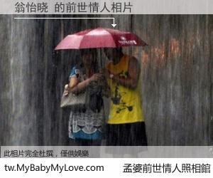 翁怡晓 的前世情人