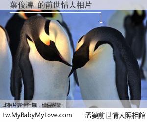 葉俊濬 的前世情人