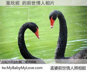 葉欣妮 的前世情人