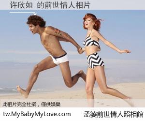 许欣如 的前世情人