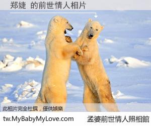 郑婕 的前世情人