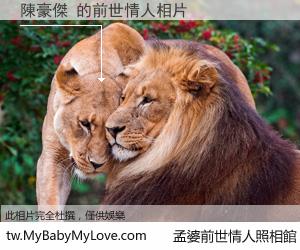 陳豪傑 的前世情人