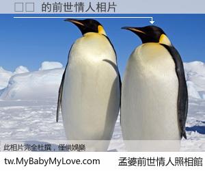 보뻘 的前世情人