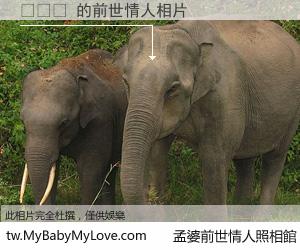 시아눅 的前世情人