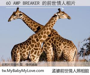 60 AMP BREAKER 的前世情人