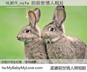 @LM19_nsfw 的前世情人