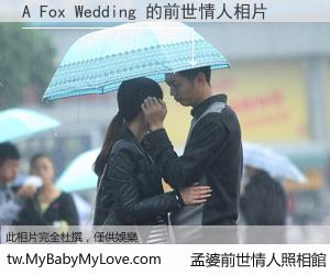 A Fox Wedding 的前世情人