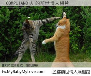 COMPLIANCIA 的前世情人