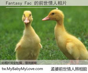 Fantasy Fac 的前世情人