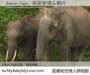 Sayuringo_ 的前世情人
