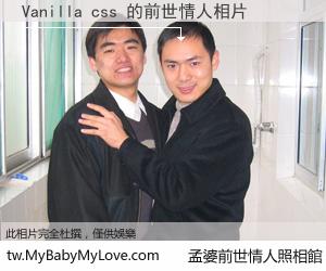 Vanilla css 的前世情人