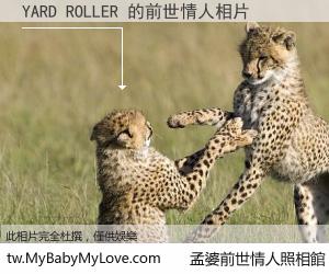 YARD ROLLER 的前世情人