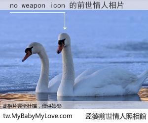 no weapon icon 的前世情人