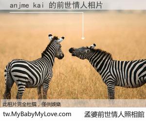 anjme kai 的前世情人