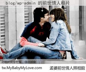 blog/wp-admin 的前世情人