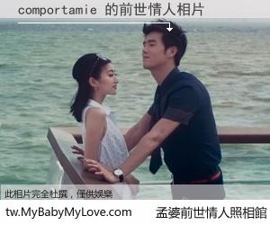 comportamie 的前世情人