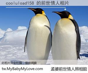 cooluload158 的前世情人