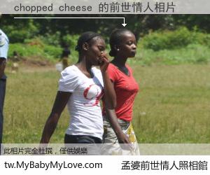chopped cheese 的前世情人