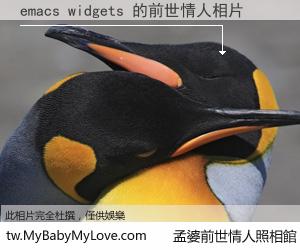 emacs widgets 的前世情人