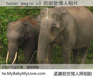 honor magic v3 的前世情人