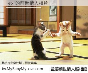 leo 的前世情人