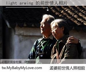light arwing 的前世情人