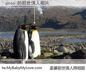pnso 的前世情人