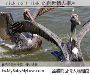 rick roll link 的前世情人