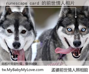runescape card 的前世情人