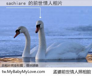 sachiare 的前世情人