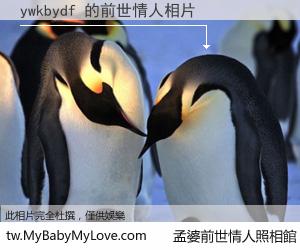 ywkbydf 的前世情人
