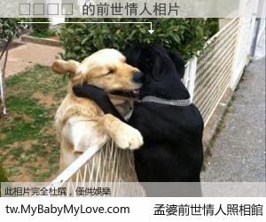 하롱베이 的前世情人