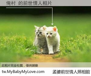 俺村 的前世情人