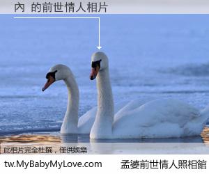 內 的前世情人