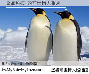 合晶科技 的前世情人