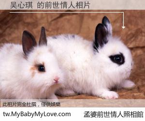 吴心琪 的前世情人