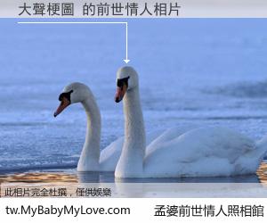 大聲梗圖 的前世情人