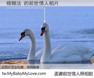 模糊法 的前世情人