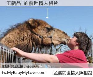 王新晶 的前世情人