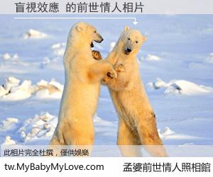 盲視效應 的前世情人