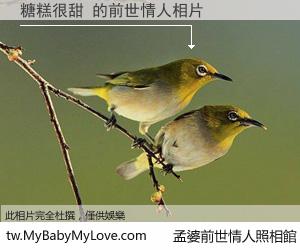 糖糕很甜 的前世情人