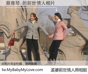 蔡雅琴 的前世情人