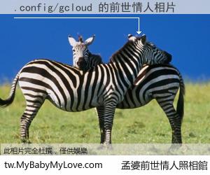 .config/gcloud 的前世情人
