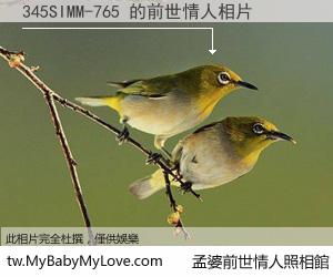 345SIMM-765 的前世情人